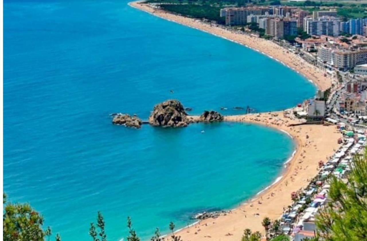Primera Linea Playa Blanes Dış mekan fotoğraf